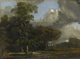 Skovlandskab, ca. 1816 - 1820 (olie på mølleplade)